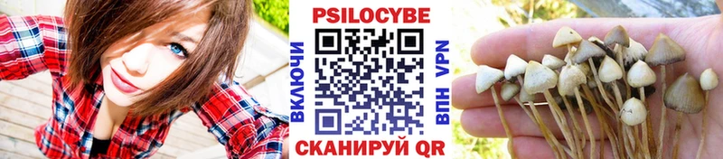 Псилоцибиновые грибы Psilocybe  Воронеж 