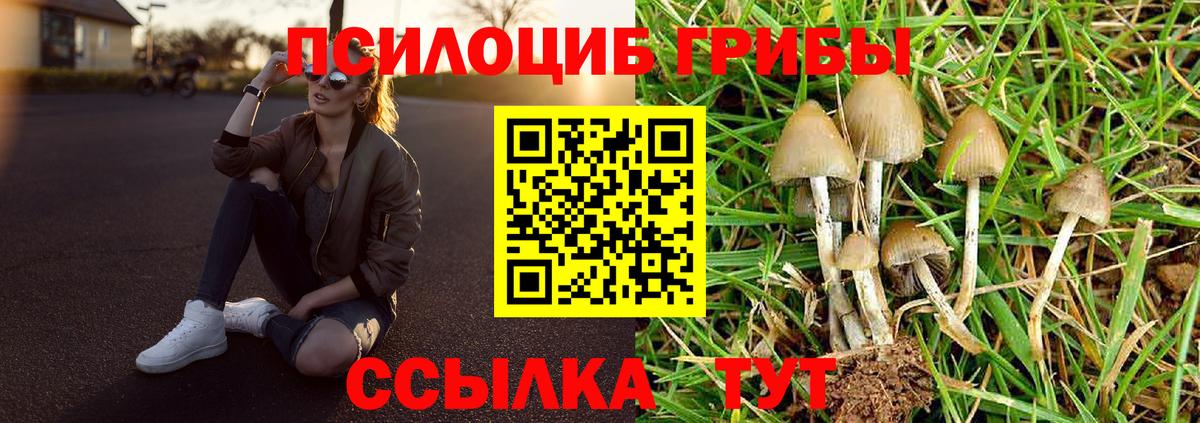 Псилоцибиновые грибы Magic Shrooms Воронеж